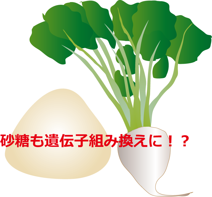 サルでもわかるｔｐｐ大筋合意 農業 Tpp Luna Organic Org